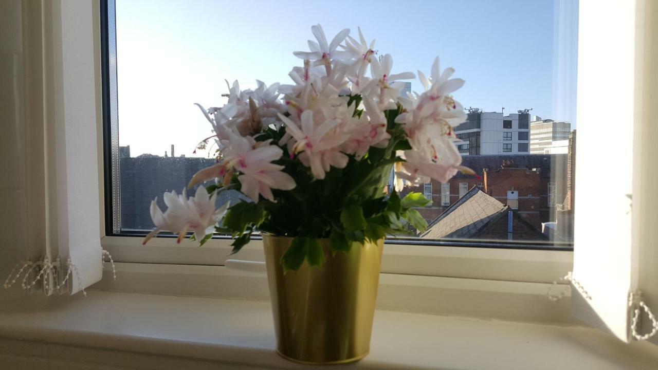 Queens Quarter Holiday Homes (Adults Only) Belfast Dış mekan fotoğraf